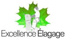 Travaux d’élagage en hauteur réalisés par Excellence Élagage dans un grand jardin à Toulouse.